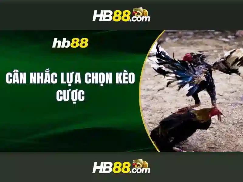 Giao diện nhà cái hoàn hảo
