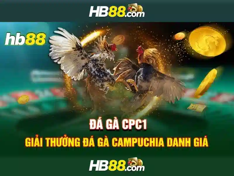 Giao diện nhà cái hoàn hảo