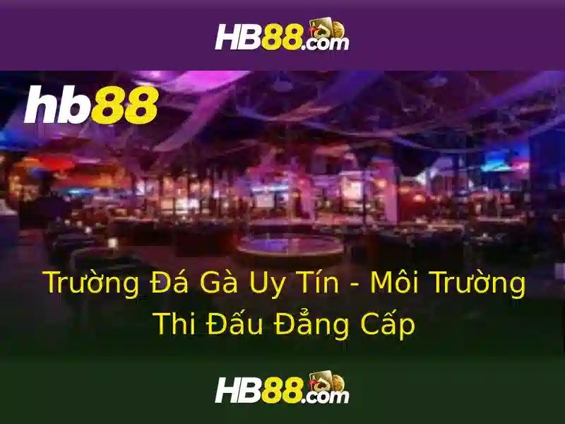Tính năng nổi bật