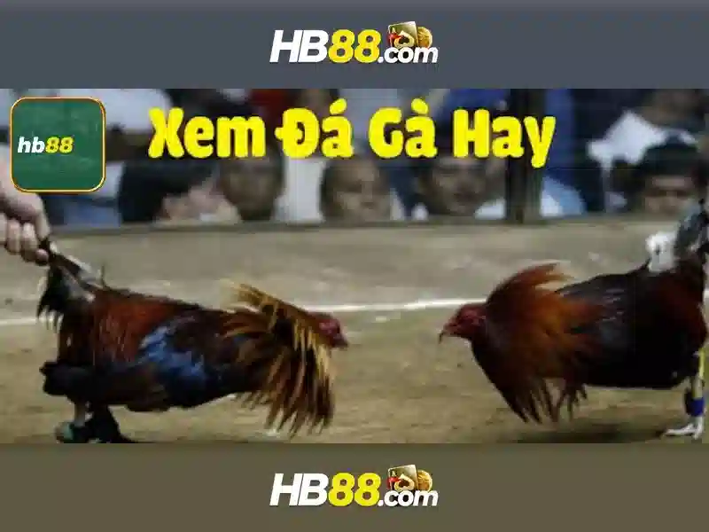 Nguồn gốc và sứ mệnh của hb88 casino hb88 casino