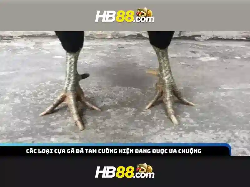 HB88 có những trò chơi gì?