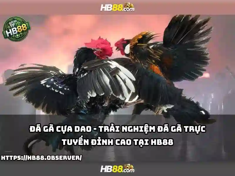 Giao diện nhà cái hoàn hảo