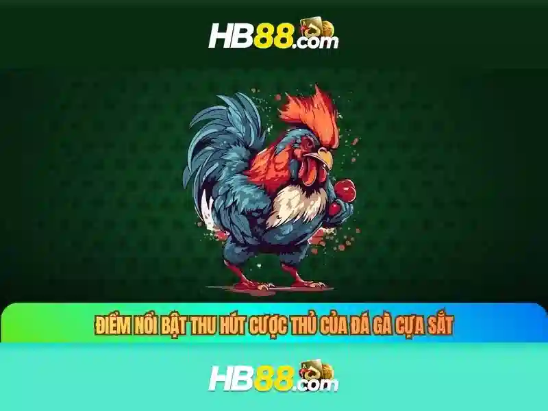 Giao dien va trai nghiem nguoi dung
