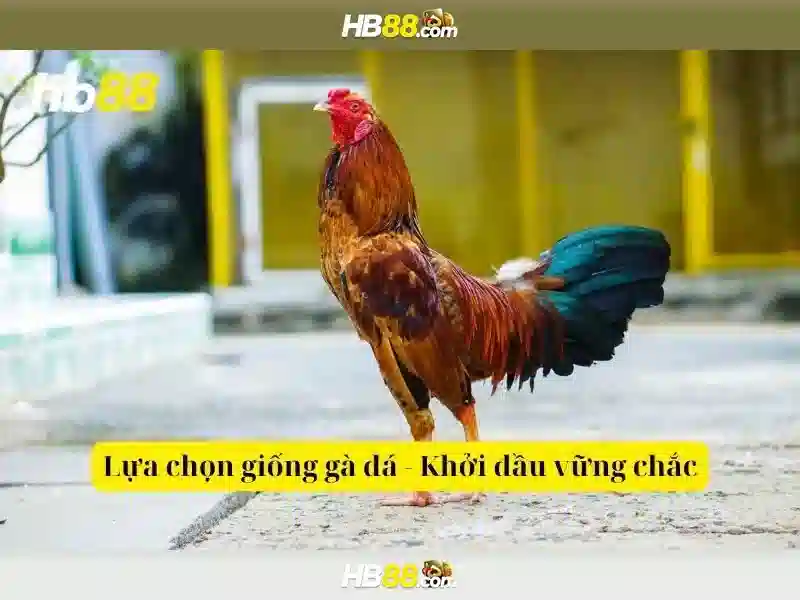Tính năng và an toàn