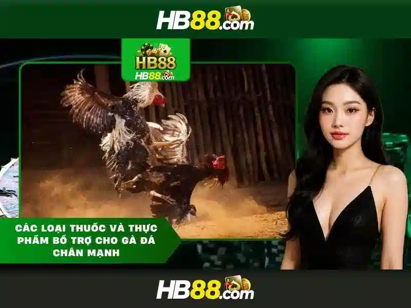 Các trò chơi có ở hb88