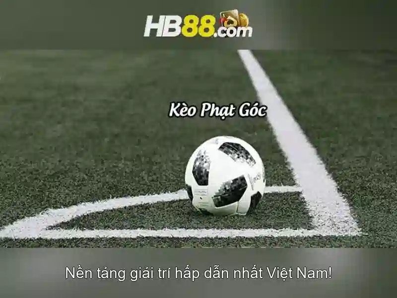 HB88: Nền tảng cá cược trực tuyến phổ biến