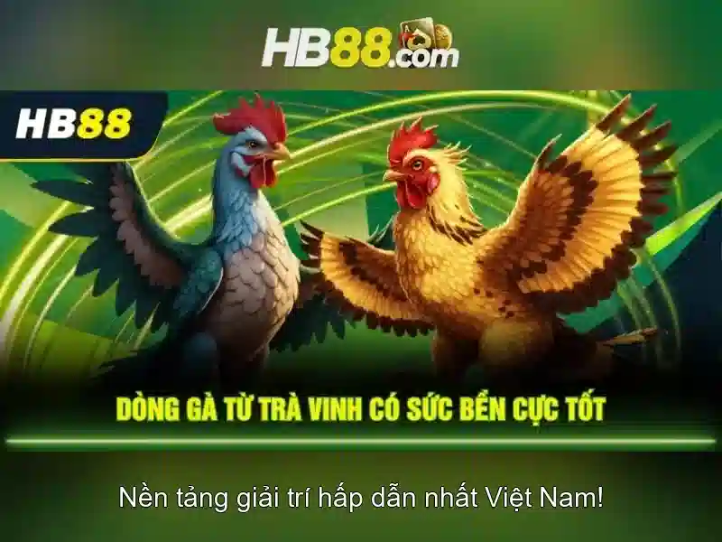 Khuyến mãi và thưởng