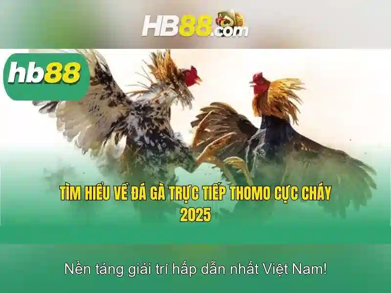 Giao diện nhà cái hoàn hảo