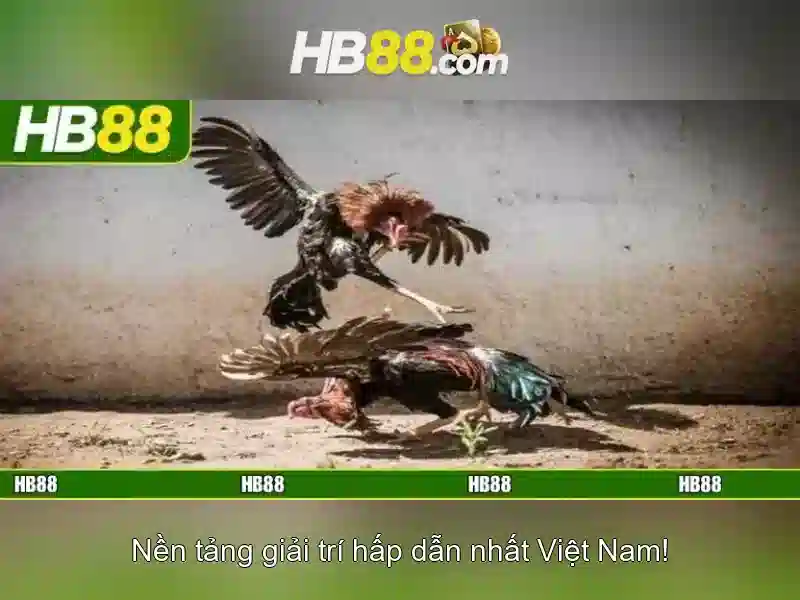 Giao diện nhà cái hoàn hảo