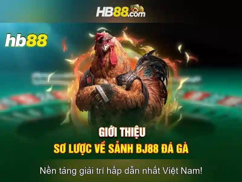 Các tính năng nổi bật của hb88