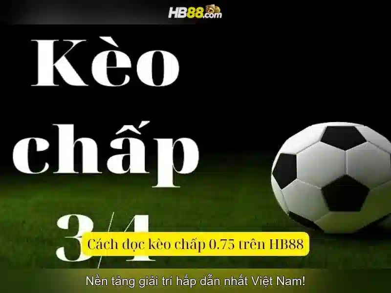 hb88 là gì và tại sao được quan tâm