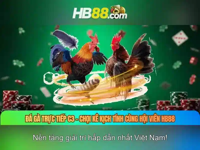 Giao diện nhà cái hoàn hảo